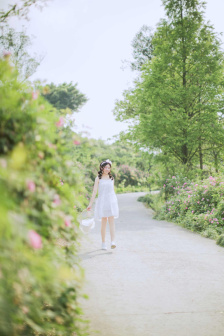 黑帮老大和我的365天